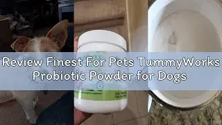 Review Finest For Pets TummyWorks Probiotic Powder for Dogs & Cats. Probiotics For Digestive Health,