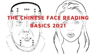 THE CHINESE FACE READING BASICS 2021 Face map and the related ages The forehead ears in face reading