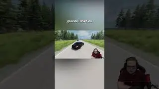 ДИКИЙ ТРАФИК