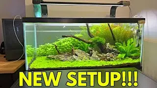 WaterBox Aquariums Stand Overview | 40B Update!
