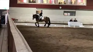 L&auml;tt C:2 - Nitro