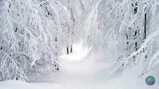 Relaxing Music ❄️ Winter Landscapes | Calm, Peaceful & Cozy Ambient Sounds