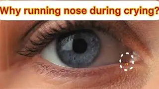 Why Running nose during Crying?in Tamil