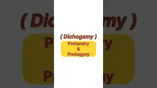Dichogamy