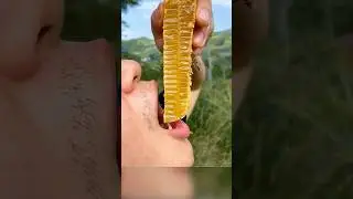 Мёд выжимают, как сок! Ты знал?