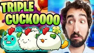 HIGH RANK TRIPLE CUCKOO BUILD | ORIGINS LEADERBOARDS | AXIE INFINITY