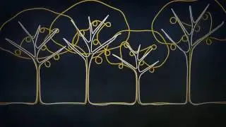 Introducing Project Loon