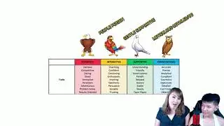 4 BASIC PERSONALITY by Markcesz