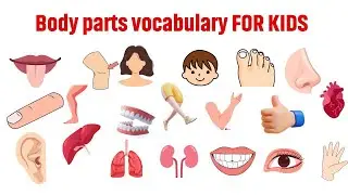 Body Parts for Kids | Fun Learning with Actions | Easy Vocabulary Lesson | Preschool Fun #Kids
