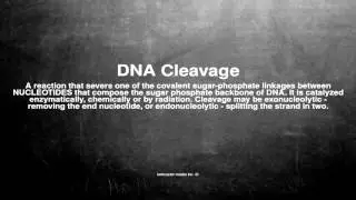 Medical vocabulary: What does DNA Cleavage mean