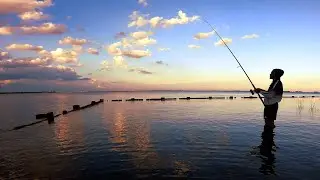 Jamaica Bay Fishing - NORTHERN KINGFISH - Floyd Bennett Field Brooklyn New York
