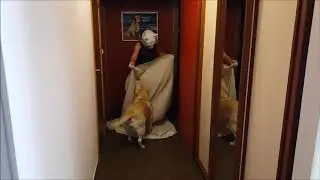 What the fluff challenge