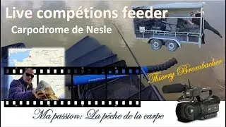 Une compétition feeder Carpe 
