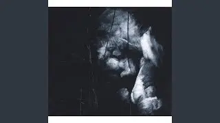 Dark Curtain