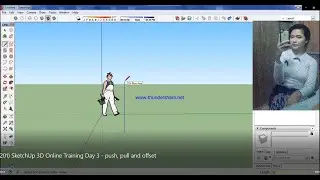 (201) SketchUp 3D Online Training Day (3) push, pull and offset