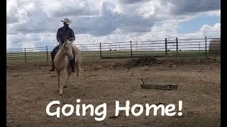 Beau Duke - Final Video | Horse Training | Hashknife Horses