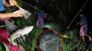 টেঠা/বর্শা দিয়ে বিলে মাছ শিকার/Bangladesh's Fishing Traditional Methods।