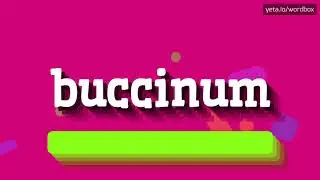 HOW PRONOUNCE BUCCINUM! (BEST QUALITY VOICES)