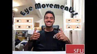 BPK 326 Video Assignment - Eye Movements (and Neural Control)