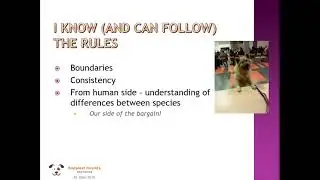 Happiest Hounds Dog Training - Puppy Life Skills intro 2