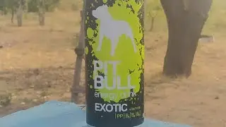 Обзор энергетика (PIT-BULL-EXOTIC) energy drink новинка 2024