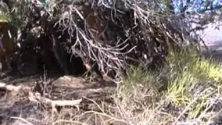 Variety of Desert Survival Shelters with Tony Nester