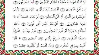 سورة الواقعة من المصحف المرتل المصور برواية شعبة عن عاصم  بصوت الشيخ عبدالرشيد صوفي