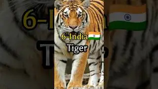 national Animal From Different Countries 💯💯 #india #pakistan