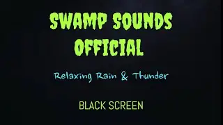 Swamp Sounds Official   Relaxing Rain & Thunder