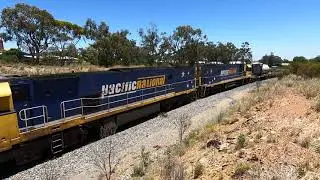 NR6 & NR106 at Condobolin NSW.  Wed 08th Dec 2021