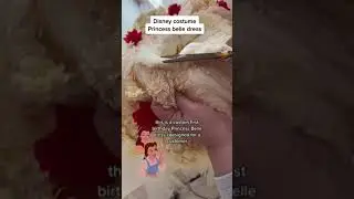 custom belle first birthday dress order