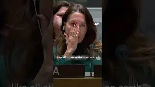 Palestinian ambassador&rsquo;s speech moves UN Security Council president to tears