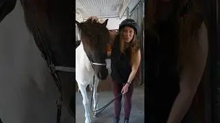 Slarvig ryttare 🤪 Hur &auml;r du i stallet? P.s Nu har vi lagt ut en ny YT video 😍 YT: Johanna & Marcus