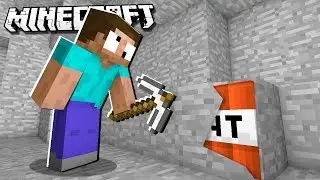 Fake DIAMOND TROLL in Minecraft!