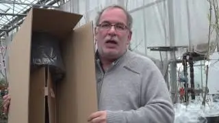 Lubera und der verbotene Apfel