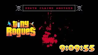 *NEW* Tiny Rogues Mega Death Speedrun WORLD RECORD 9:09:55