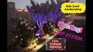 Side Yard Landscaping Low Voltage Lighting