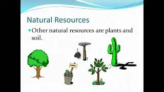 Natural Resources Economics