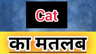 Cat meaning in hindi || Cat ka matlab kya hota hai || word meaning english to hindi