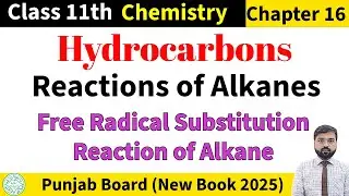 Free Radical Substitution Reaction of Alkane | Reactions of Alkanes | 1st Year Chemistry | New Book