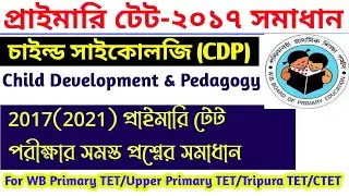 Primary Tet 2021 Question and Answer || Child Development and Pedagogy 2017 Question Answer Discuss