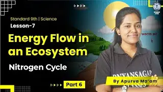 Class 9th Energy Flow in an Ecosystem part - 06 | Nitrogen Cycle | Science by Apurva Ma'am