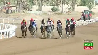 Race 3 - 1st Meeting - Rahba - 18/10/2024