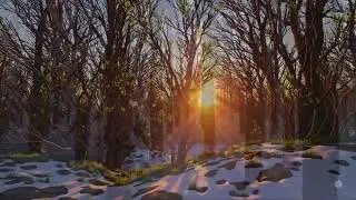 Walking Toward the Sun (Peaceful Nature Ambience, 10 Hours)