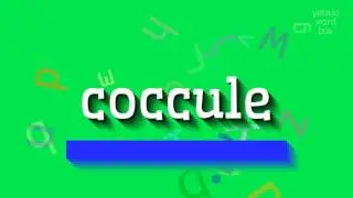 КАК ПРОИЗНОШАЕТ КОКУЛЯ?  #кокуль (HOW TO PRONOUNCE COCCULE? #coccule)