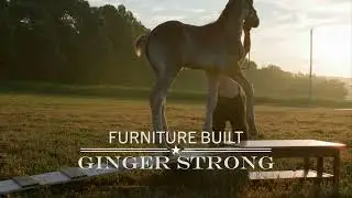 Ginger Table Strength