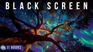 Enter the Dream World ✦ REM Sleep & Astral Projection Binaural Beats