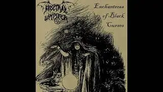 Black Metal 2023 Full Album 