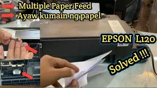 Solution for Epson L121 Multiple paper feed problem solved 2025 | Printerinside
