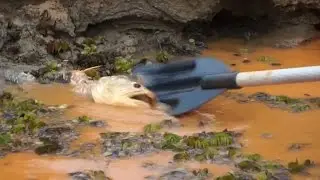 Brazil Vs. Big Mining In The Wake Of Dam Disaster